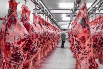 افزایش عرضه گوشت قرمز به بازار از ۲ هفته آینده