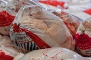 تولید ۷۵۰۰ تن مرغ در لرستان تا پایان مردادماه