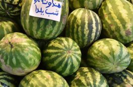 عرضه ۱۷۰ هزار تن هندوانه برای شب یلدا