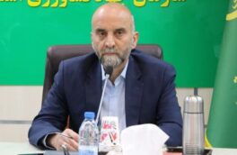 برای بالا بردن جایگاه بخش کشاورزی لرستان به مدیران قوی نیاز داریم