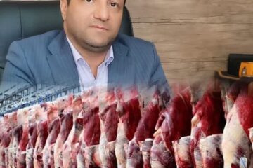 ۱۷ اکیپ دامپزشکی کار نظارتبهداشتی ویژه شب یلدا را انجام می دهند