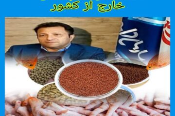 صادرات۶۲۹هزارکیلوگرم فرآوردههای خامدامی بهخارج_ازکشور