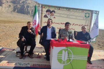 مدیرکل حفاظت محیطزیست لرستان؛ تکثیر گوزن زرد در مجموعه کشت و صنعت خرم آباد