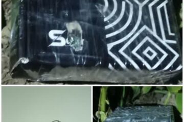 دستگیری عامل بمب‌گذار وابسته به رژیم غاصب صهیونی در خرم‌آباد
