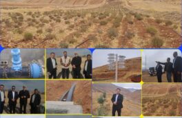 گیاهان دارویی می توانند نقش پر رنگی در حفظ و ارتقاء سلامت ایفا کنند