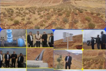 گیاهان دارویی می توانند نقش پر رنگی در حفظ و ارتقاء سلامت ایفا کنند