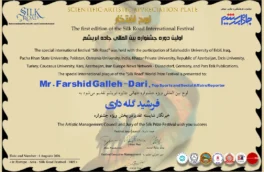 لوح ویژه برترین خبرنگار از سوی اولین دوره جشنواره بین المللی جاده ابریشم به فرشید  گله داری رسید
